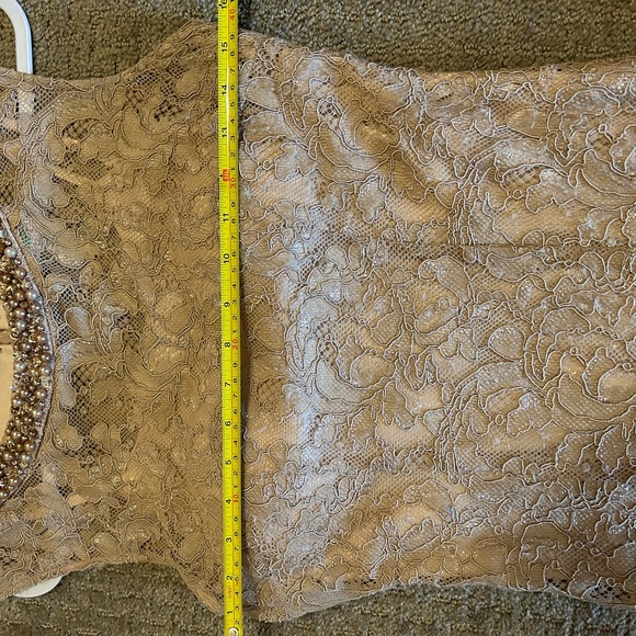 Alex Evenings Mermaid  Lace Evening Gown. Mother of the Bride/groom. - Picture 9 of 15